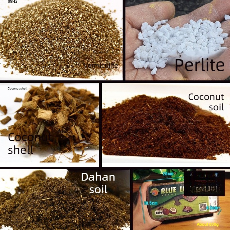 Sphagnum Moss Dry - Kokosfaser-Bodenziegel Reptilien-Substrat Schildkröten-Gecko-Schlangen-Vivarium-Bettung Feuchtigkeitsspeichernde Kokosfaser Torfmoos
