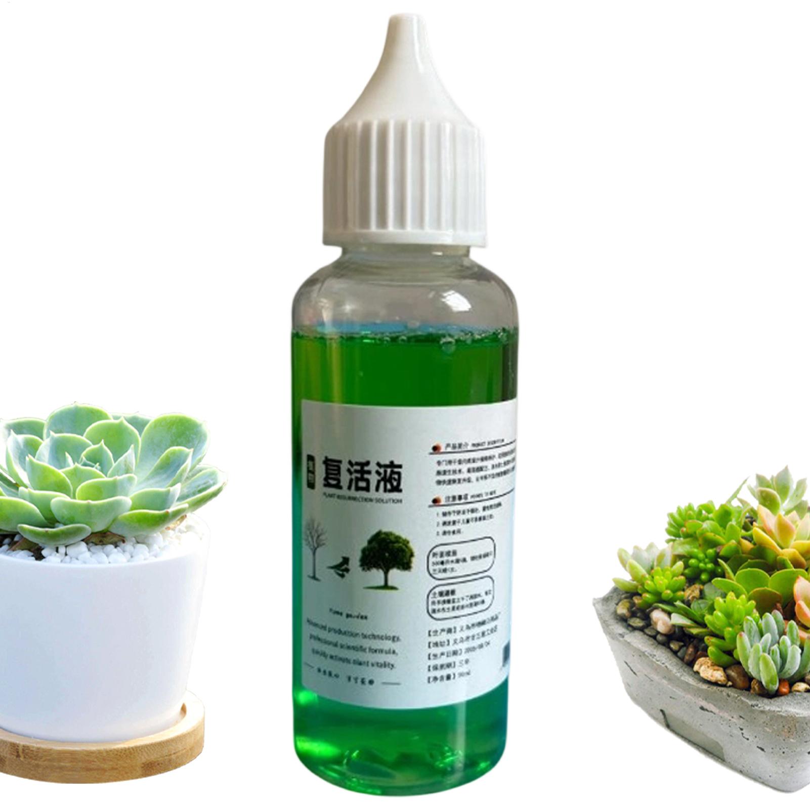 Root Stimulator Liquid - Wurzelstimulator für Pflanzen, flüssiges Bewurzelungsmittel 50ml,